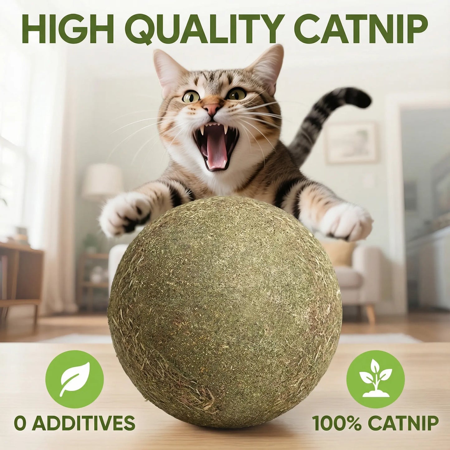 Giant Natural Catnip Ball Toy, 10cm - Engaging Chew and Play Toy for Indoor Cats