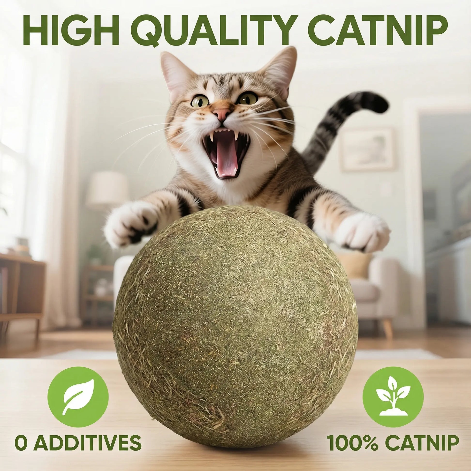 Giant Natural Catnip Ball Toy, 10cm - Engaging Chew and Play Toy for Indoor Cats