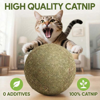 Giant Natural Catnip Ball Toy, 10cm - Engaging Chew and Play Toy for Indoor Cats