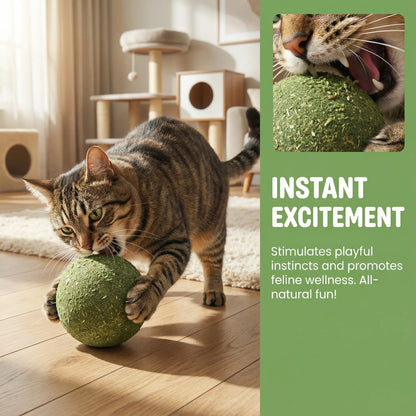 Giant Natural Catnip Ball Toy, 10cm - Engaging Chew and Play Toy for Indoor Cats