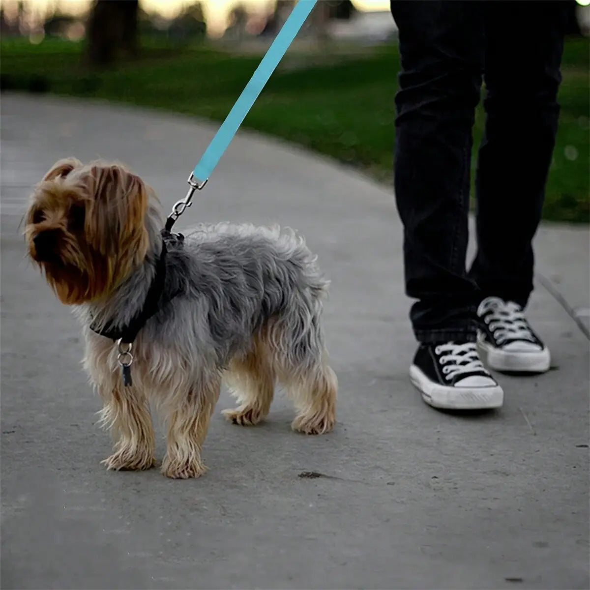 Adjustable Dog Car Safety Harness Straps with Secure Buckle, Retractable Vehicle Restraint for Suvs Cars Trucks, Universal Fit Pet Travel Accessory