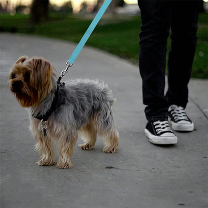 Adjustable Dog Car Safety Harness Straps with Secure Buckle, Retractable Vehicle Restraint for Suvs Cars Trucks, Universal Fit Pet Travel Accessory