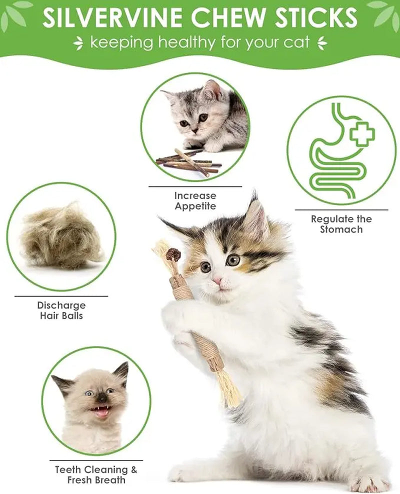 Organic Silvervine Chew Sticks - 10 Pack Natural Catnip Toys for Dental Health, Appetite Enhancement, and Stress Relief for Aggressive Chewers