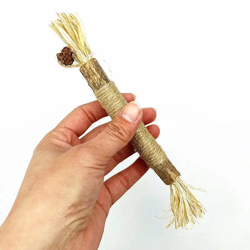 Organic Silvervine Chew Sticks - 10 Pack Natural Catnip Toys for Dental Health, Appetite Enhancement, and Stress Relief for Aggressive Chewers