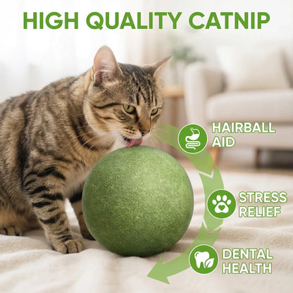 Giant Natural Catnip Ball Toy, 10cm - Engaging Chew and Play Toy for Indoor Cats