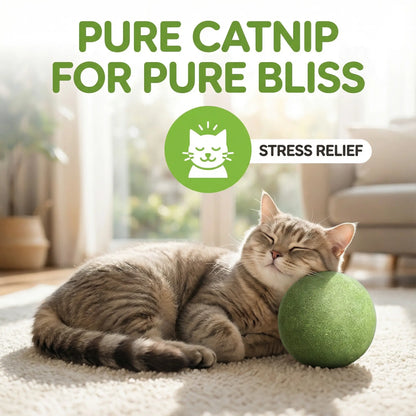 Giant Natural Catnip Ball Toy, 10cm - Engaging Chew and Play Toy for Indoor Cats