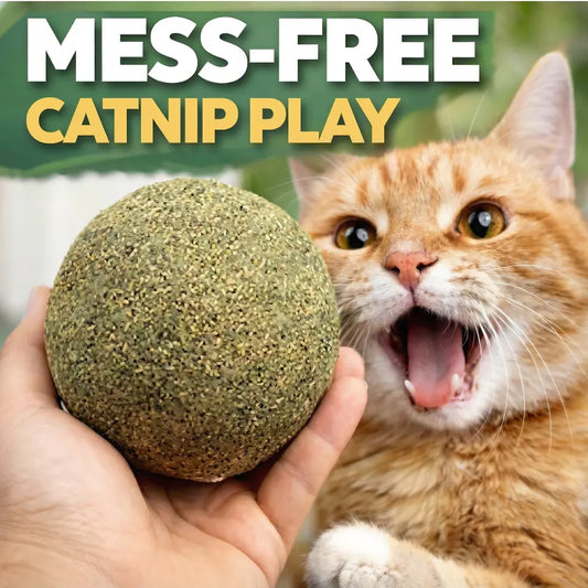Giant Natural Catnip Ball Toy, 10cm - Engaging Chew and Play Toy for Indoor Cats